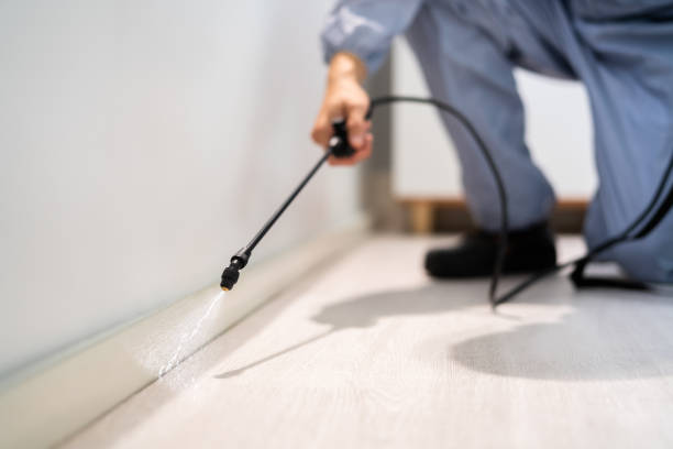 Licensed Termite Control service in White Plains, NY - Nex Pest Control