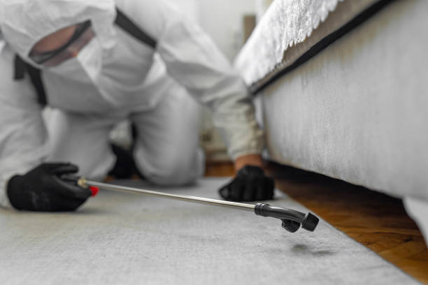 Professional Termite Control technician working in White Plains, NY