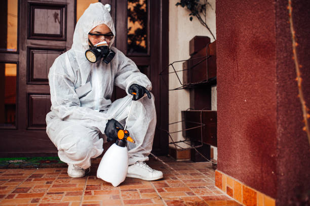 Reliable Termite Control contractor in White Plains, NY by Nex Pest Control